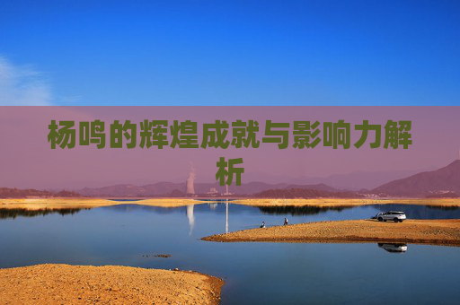 杨鸣的辉煌成就与影响力解析