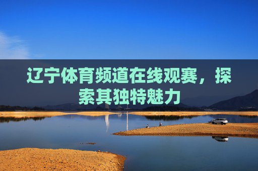 辽宁体育频道在线观赛，探索其独特魅力
