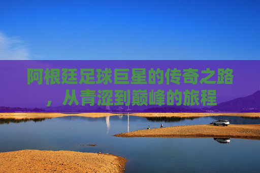 阿根廷足球巨星的传奇之路，从青涩到巅峰的旅程