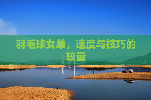 羽毛球女单，速度与技巧的较量