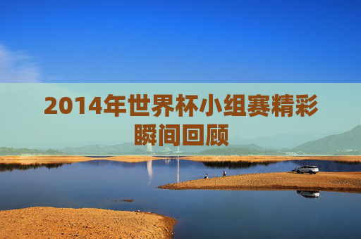 2014年世界杯小组赛精彩瞬间回顾