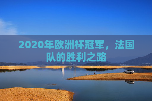 2020年欧洲杯冠军，法国队的胜利之路